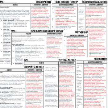 Business Organizations DBQ Reading Comprehension Passages & Questions - preview 3