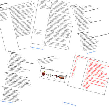 Types of Energy Assessments, Test, Quiz, Physical Science Assessments - preview 2