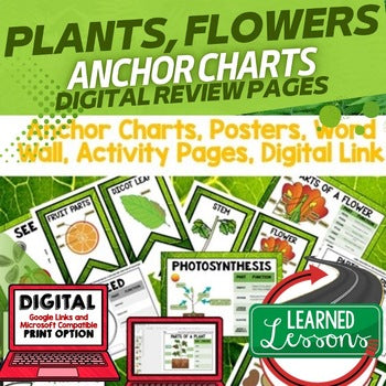 Parts of Plants Anchor Charts, Plants Posters Plants Activity Plants Word Wall - preview 1