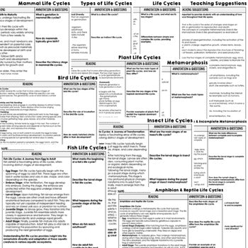 Life Cycles Science Reading Comprehension Passages and Questions Google - preview 2