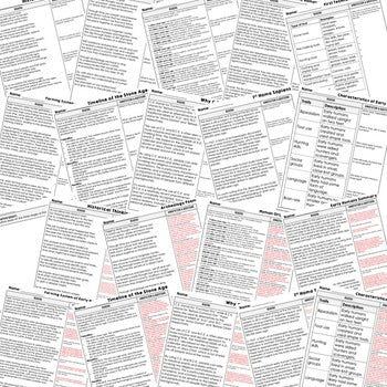 Early Man DBQ Reading Activity Google World History DBQ Close Reading - preview 2
