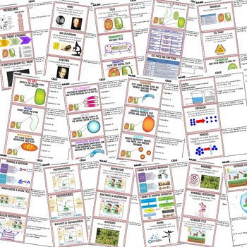 Cells Bell Ringers & Warm Ups | NGSS Life Science Review | Print + Digital - preview 2