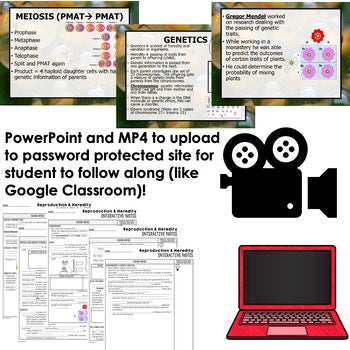 Reproduction Heredity Guided Notes and PowerPoints, Life Science Guided Notes - preview 2