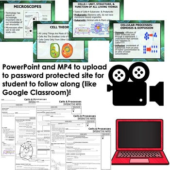 Cells Guided Notes PowerPoints NGSS, Life Science Guided Notes - preview 2