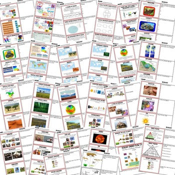 Ecology Bell Ringers & Warm Ups | NGSS Life Science Review | Print + Digital - preview 2
