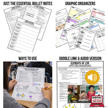 Forces & Motion Outline Notes, Forces Bullet Notes, Physical Science Notes - preview 2