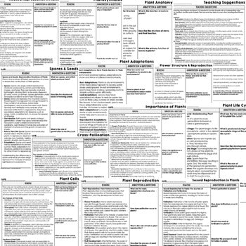 Plants & Flowers Science Reading Comprehension Passages and Questions Google - preview 2