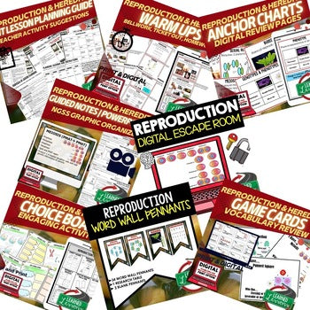 Life Science Reproduction & Heredity Bundle | Genetics, DNA & Punnett Squares - preview 2