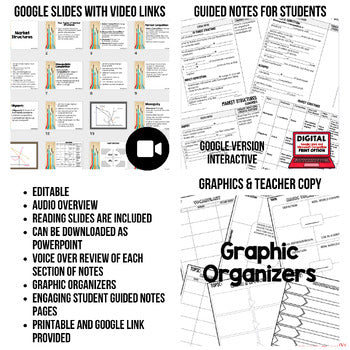 Market Structures Guided Notes & PowerPoint, Economic Notes, Digital Learning - preview 2