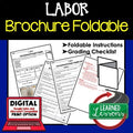 Labor Activity Foldable, Economics Curriculum - preview 1