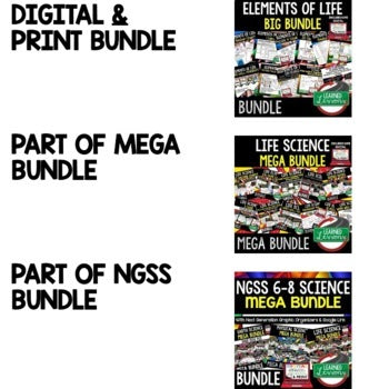 Elements of Life Agenda PowerPoint & Google Slides, Life Science Agenda - preview 2
