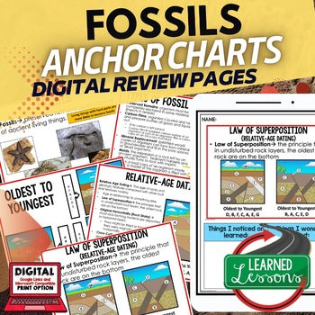 Fossils Anchor Charts, Fossils Posters, Earth Science Anchor Charts - preview 1