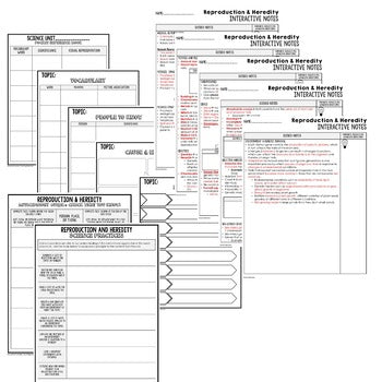 Reproduction Heredity Guided Notes and PowerPoints, Life Science Guided Notes - preview 3