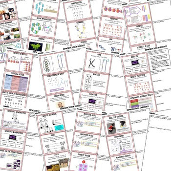 Genetics, Heredity & Reproduction Bell Ringers | NGSS Life Science Warm Ups - preview 2