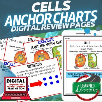 Cell Structure & Cell Processes Posters | Life Science Anchor Charts - preview 1