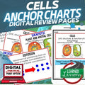 Cell Structure & Cell Processes Posters | Life Science Anchor Charts - preview 1