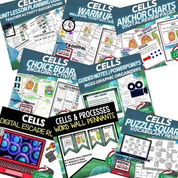 Life Science Cells & Cellular Processes Bundle | NGSS Cells, Photosynthesis - preview 2