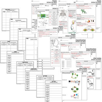 Plants Guided Notes | Plant Life Cycles & Classification | PowerPoint - preview 3