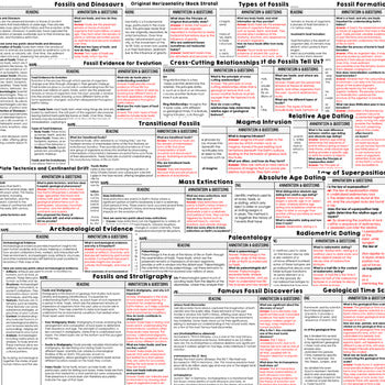 Fossils Science Reading Comprehension Passages and Questions Google Print - preview 3