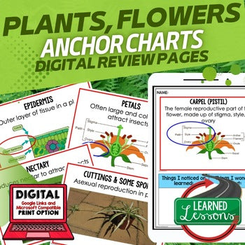 Classification Anchor Charts | 55 Life Science Posters | NGSS Science - preview 2