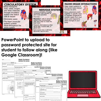 Body SystemsGuided Notes & PowerPoints NGSS, Life Science Guided Notes - preview 2