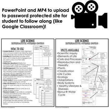 Plants Guided Notes | Plant Life Cycles & Classification | PowerPoint - preview 4