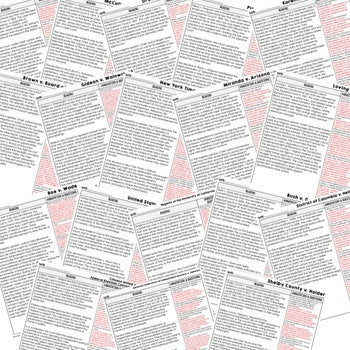 Landmark Court Cases DBQ Reading Activity, Google, Civics DBQ, Close Reading - preview 3
