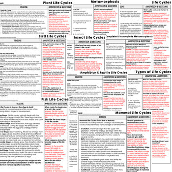 Life Cycles Science Reading Comprehension Passages and Questions Google - preview 3