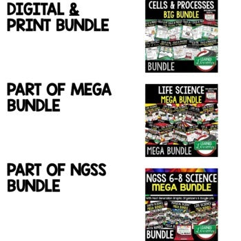 Cells Agenda PowerPoint & Google Slides, Life Science Agenda - preview 2
