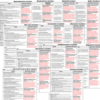 Body Systems Science Reading Comprehension Passages and Questions Google - preview 3