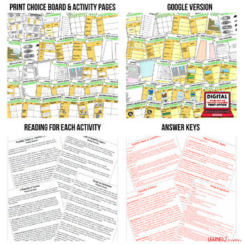 Landforms & Topography Activities, Landforms & Topography Choice Board - preview 2