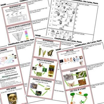 Classification & Life Cycles Warm Ups Bell Ringers Life Science Warm Ups - preview 2