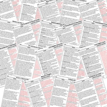 Citizenship DBQ Reading Activity, Google, Civics DBQ, Close Reading - preview 3