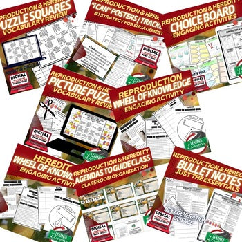 Life Science Reproduction & Heredity Bundle | Genetics, DNA & Punnett Squares - preview 3
