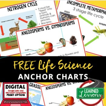 Life Science Anchor Charts | NGSS Life Science Posters | Classroom Decor - preview 1