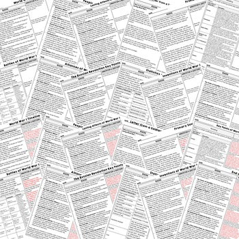 World War I DBQ Reading Activity Google World History DBQ Reading - preview 2