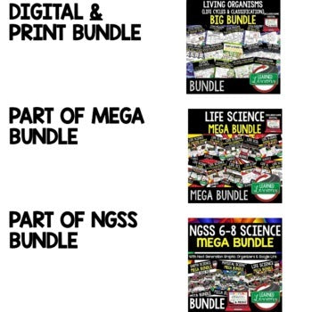 Life Cycles Agenda PowerPoint & Google Slides, Life Science Agenda - preview 2