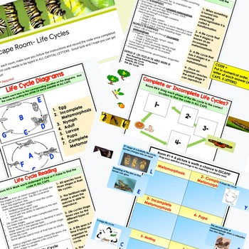 Life Cycles Digital Escape Room Breakout Room Life Cycles Activity Life Science - preview 2