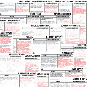 Supply, Demand, Prices DBQ Reading Comprehension Passages & Questions - preview 3