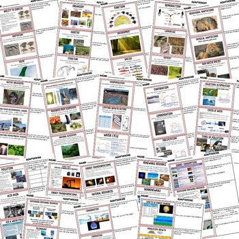 Adaptations Warm Ups & Bell Ringers | Life Science Activities | Print + Digital - preview 2