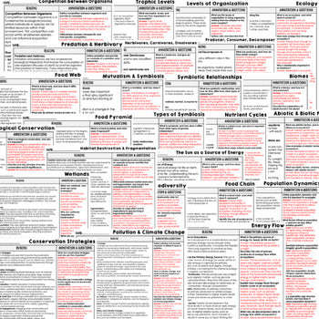 Ecology Science Reading Comprehension Passages and Questions Google & Print - preview 3