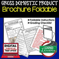 Gross Domestic Product GDP Activity Foldable, Economics Curriculum - preview 1