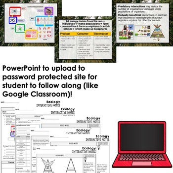Ecology Guided Notes and PowerPoints NGSS, Life Science Guided Notes - preview 2