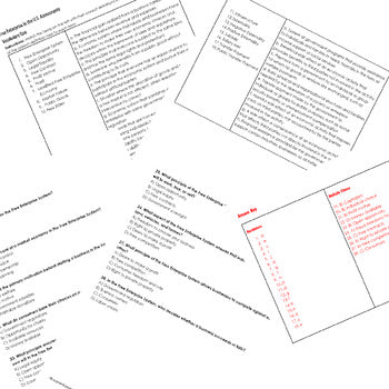 Free Enterprise in the U.S. Assessments, Economics Tests, Economics Quizzes - preview 2