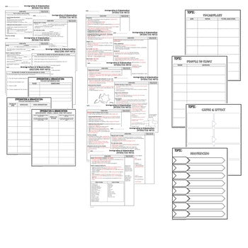 Immigration Guided Notes & PowerPoints, US History, Print, Digital, Google - preview 2
