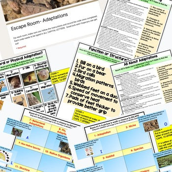 Adaptations Digital Escape Room, Adaptations Activity Life Science Escape Room - preview 2
