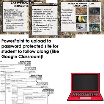 Adaptations Guided Notes and PowerPoints NGSS, Life Science Guided Notes - preview 2