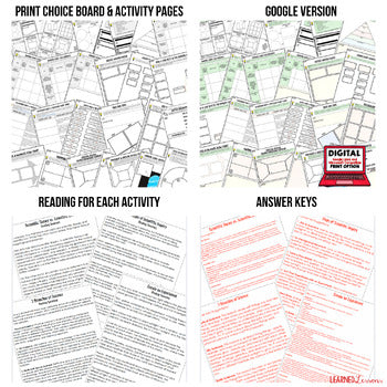 Judicial Branch Activities Choice Board, Digital Google Learning & Print - preview 2
